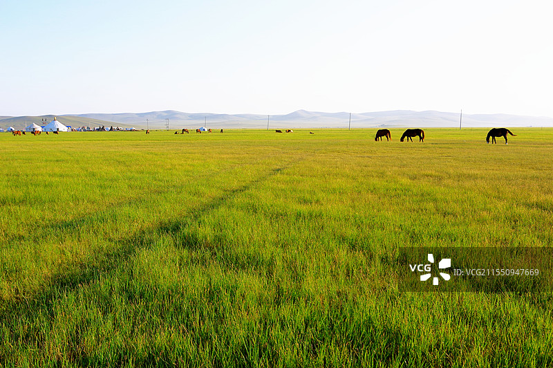 内蒙古陈巴尔虎旗草原风光图片素材