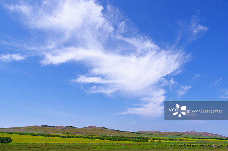 内蒙古陈巴尔虎旗草原风光图片素材