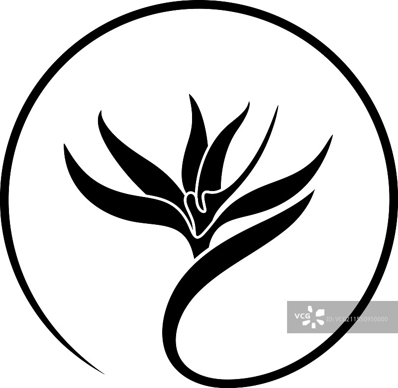 天堂鸟图片素材