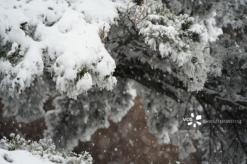 黄山下雪了图片素材