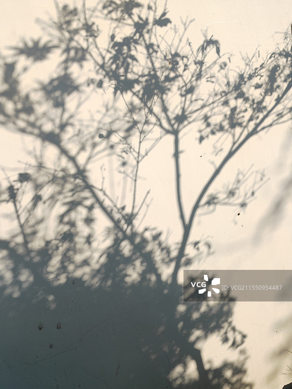 南通博物院图片素材