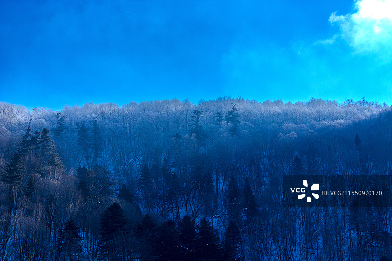 这是《跨过鸭绿江》剧组留在威虎山雪村的拍摄场地的后山图片素材