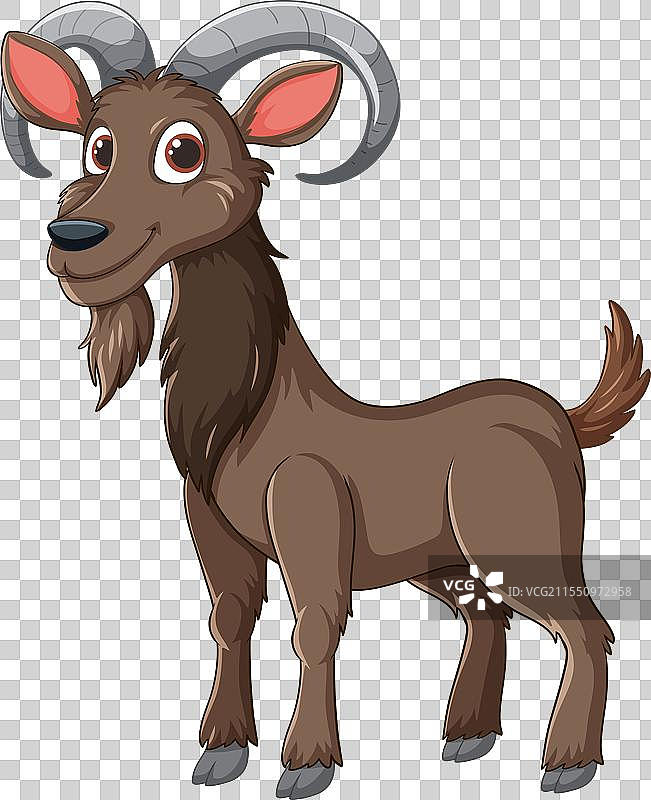 一只快乐的棕色山羊图片素材