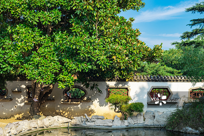中国野生植物拍摄主题  ,春天的玉兰花植物树木，庭院里的池塘假山石，户外白昼无人图像摄影图片素材