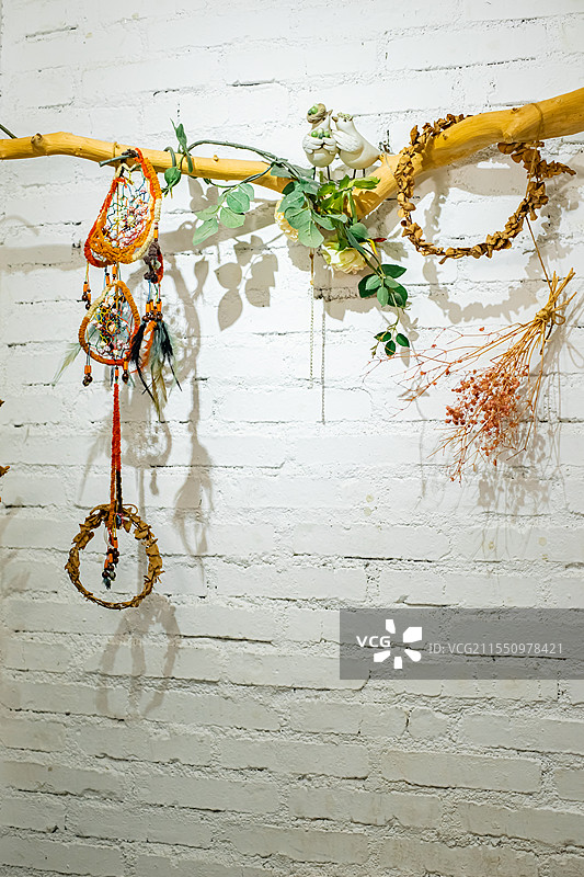 中国居家装饰拍摄主题，白色墙壁上悬挂的画框和藤蔓植物，室内无人图像摄影图片素材