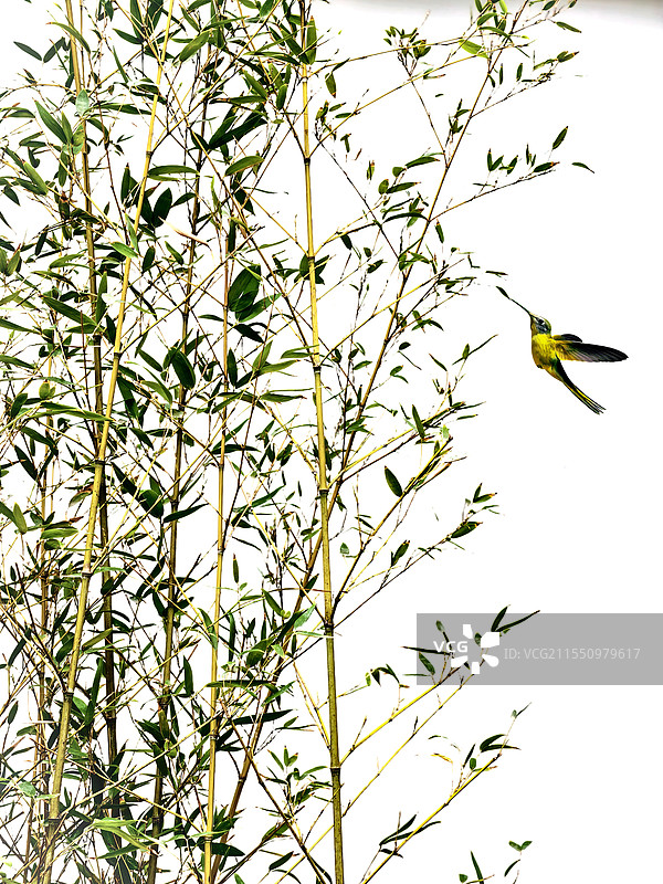 惊蛰万物生图片素材