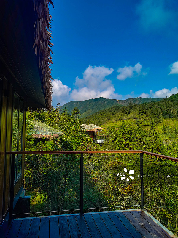 背靠天空的房屋和树木图片素材