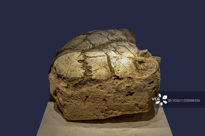 江西省博物馆“古代历史文化展”：人类头盖骨（新石器时代，江西省万年县仙人洞遗址出土）图片素材