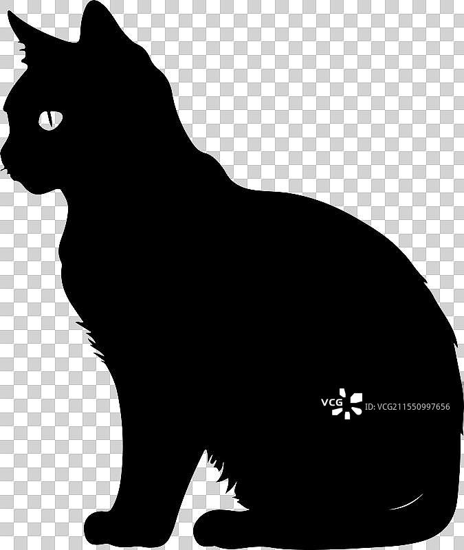 猫的剪影图片素材