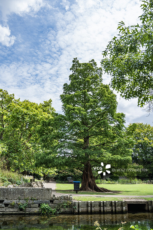 英国东南部小镇坎特伯雷景观图片素材