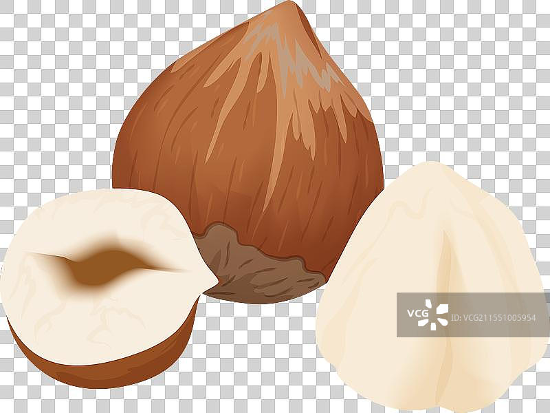 有机榛子整颗坚果，棕色外壳图片素材