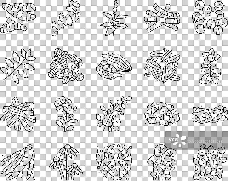 阿育吠陀草药医学健康图标集图片素材