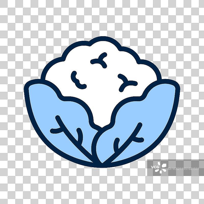 花椰菜图片素材