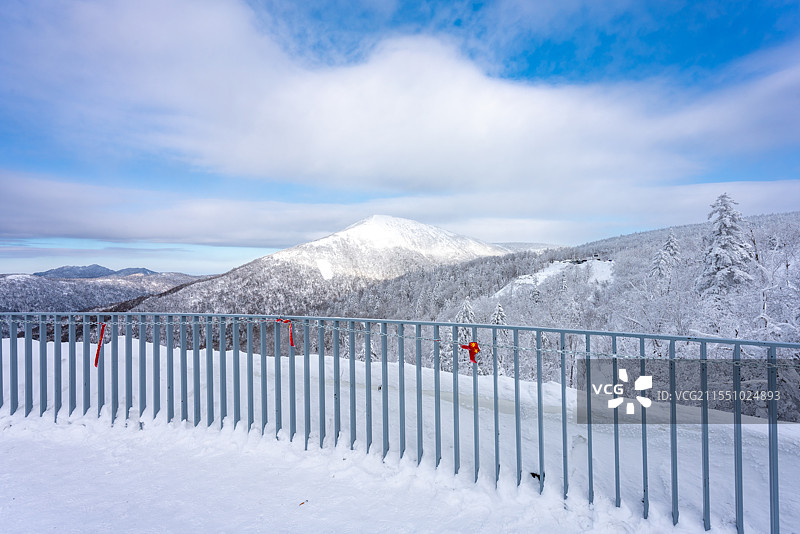 中国雪乡冰雪画廊，冬天蓝天白云下的林海雪原和白色的雾凇树挂雪景风光图片素材
