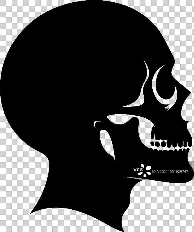 黑色骷髅轮廓侧影图片素材