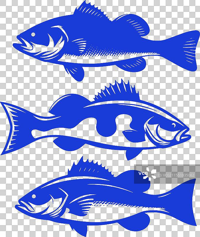 三条蓝色鱼的轮廓图片素材
