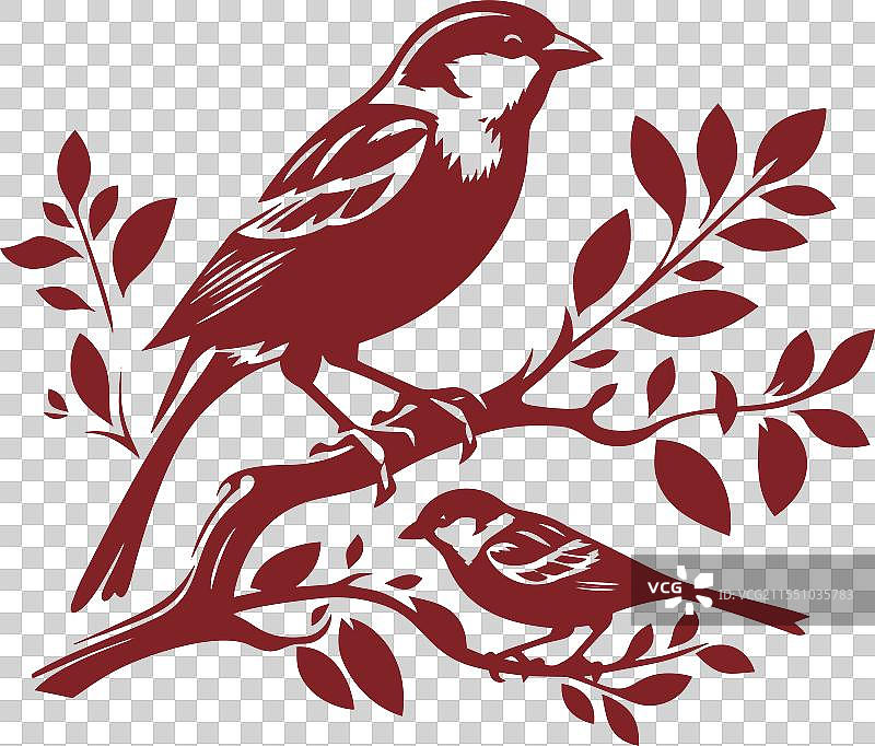 两只鸟栖息在树枝上图片素材