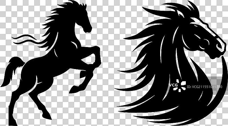 两匹马的剪影，其中一匹正在腾空而起图片素材
