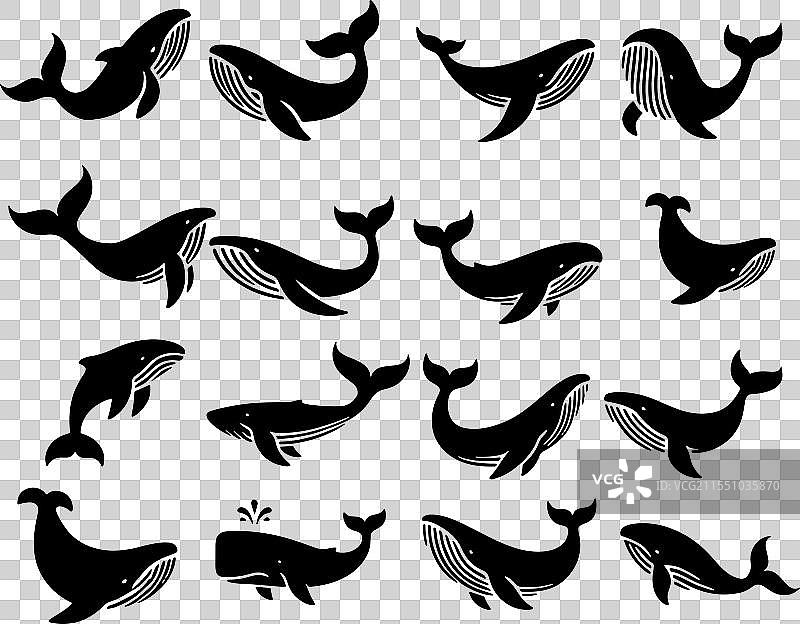 鲸鱼剪影合集图片素材