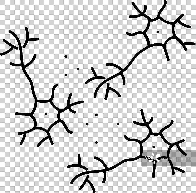 神经治疗 神经科学 神经学 线条图片素材