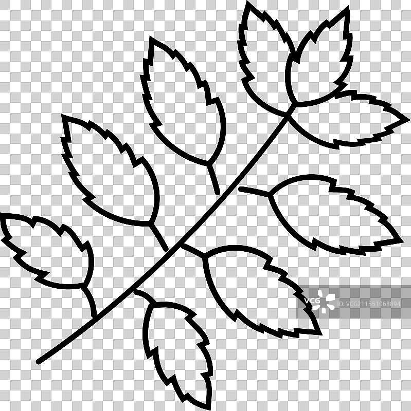 印度楝叶的阿育吠陀草药线条图标图片素材