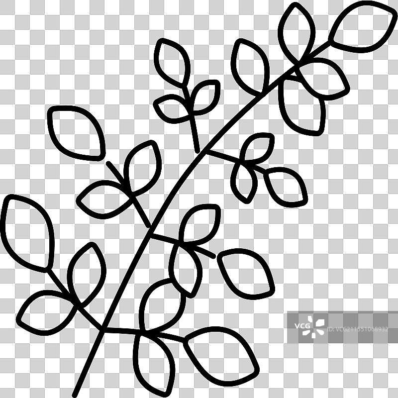 辣木叶阿育吠陀草药线条图标图片素材