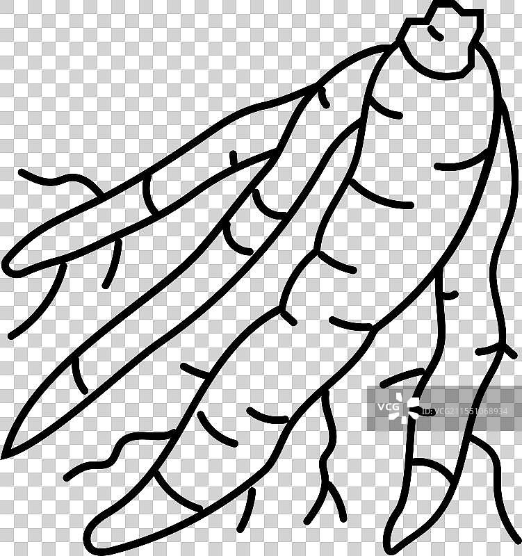 沙塔瓦里阿育吠陀草药线条图标图片素材