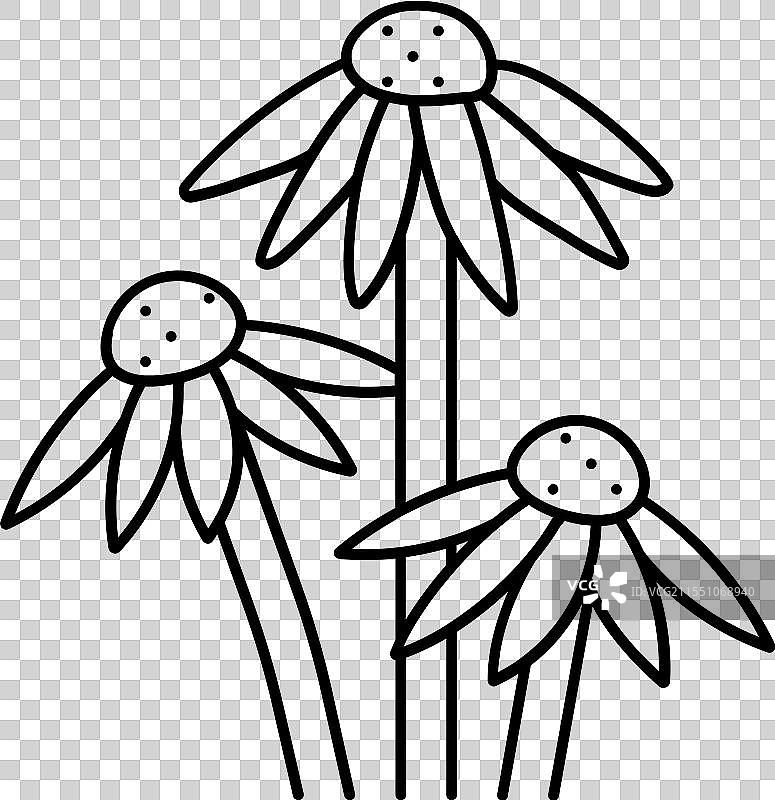 神圣罗勒阿育吠陀草药线条图标图片素材