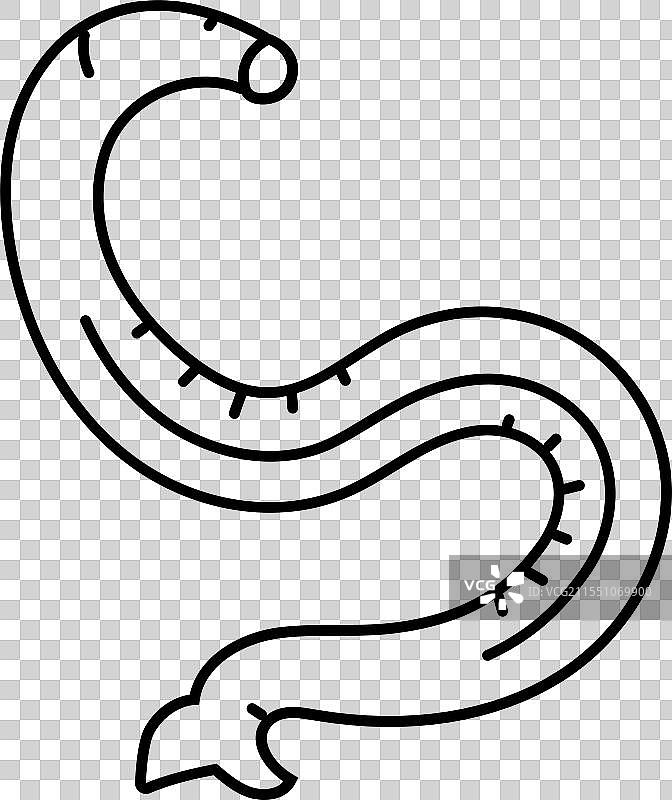 钩虫寄生虫线条图标图片素材