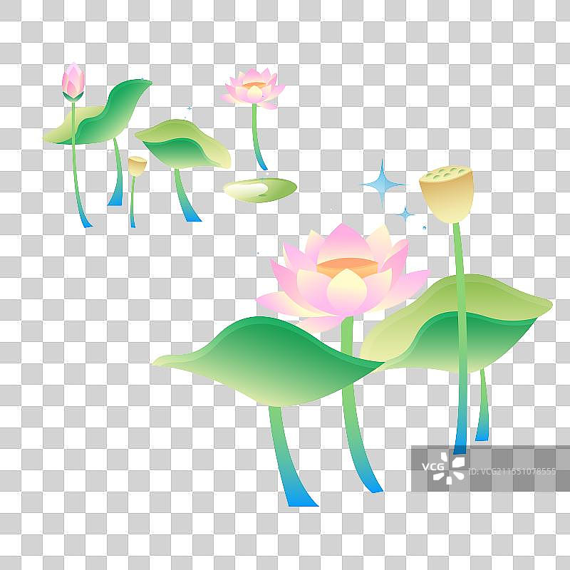 夏天春天荷花免抠图图片素材