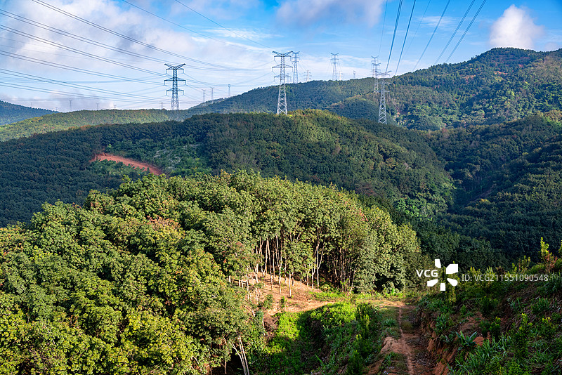 云南西双版纳基诺山脉茂盛的热带雨林图片素材