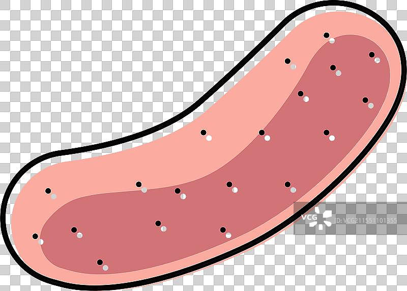 生香肠肉颜色图标图片素材