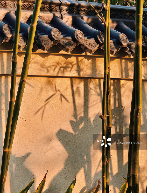 流光竹影建筑倒影图片素材