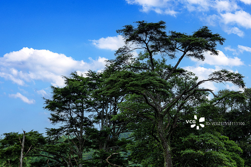 湖南 株洲 神农谷国家森林公园图片素材