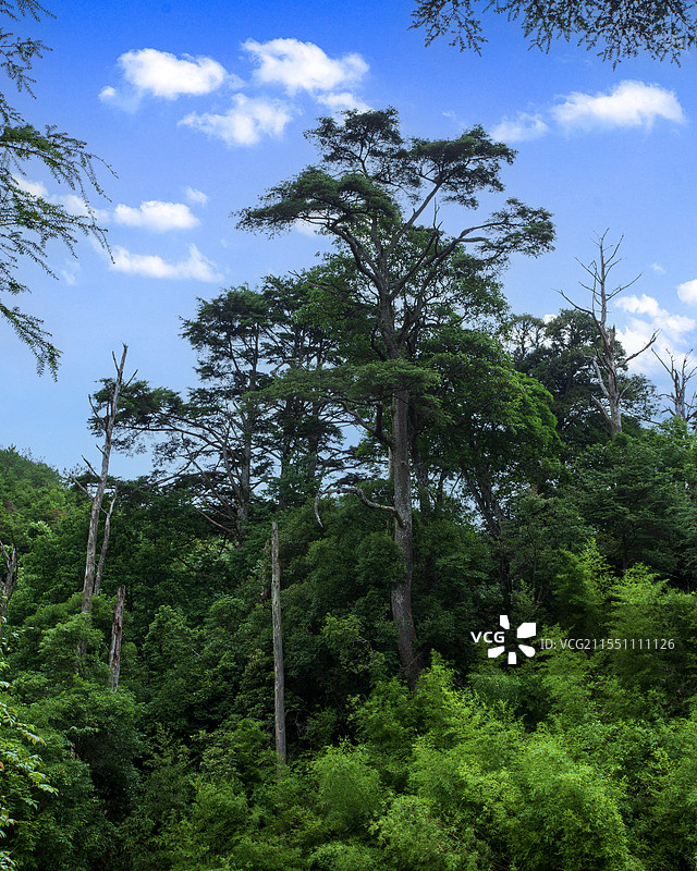 湖南 株洲 神农谷国家森林公园图片素材