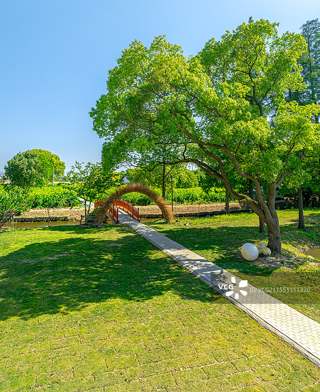 露营帐篷和草坪 树荫下乘凉 江苏震泽农村宅基地转型田园度假别墅 众安桥村乡村振兴旅游业 震泽湿地公园图片素材