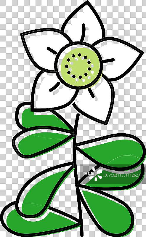 巴赫米草药彩色图标图片素材