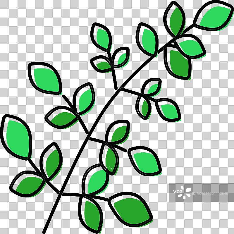 辣木叶 阿育吠陀草药 彩色图标图片素材