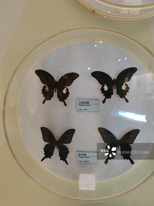 常州博物馆图片素材