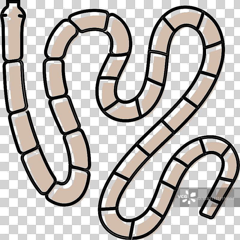 绦虫寄生虫彩色图标图片素材