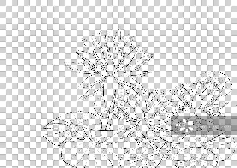 二十四节气花卉水果插画线稿元素图片素材