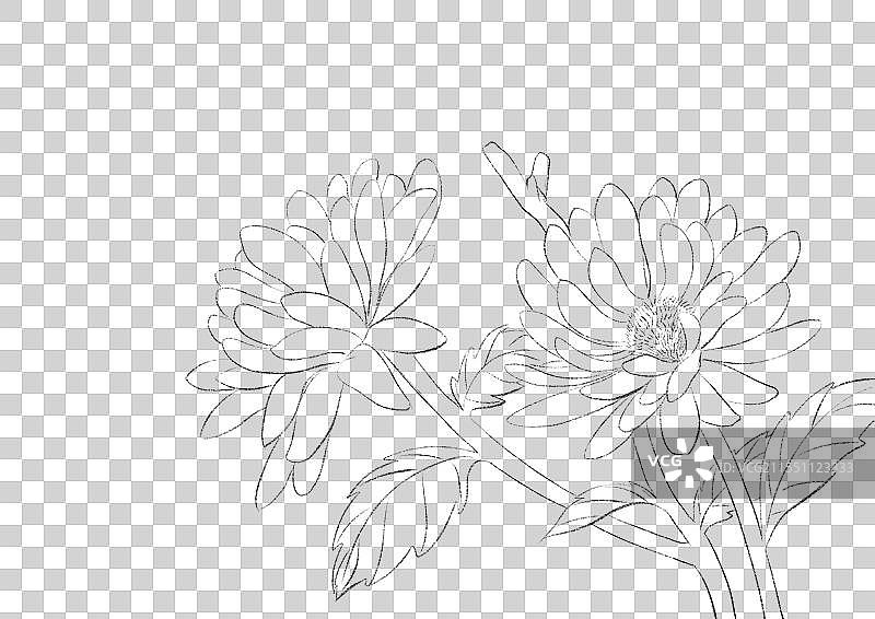 二十四节气花卉水果插画线稿元素图片素材