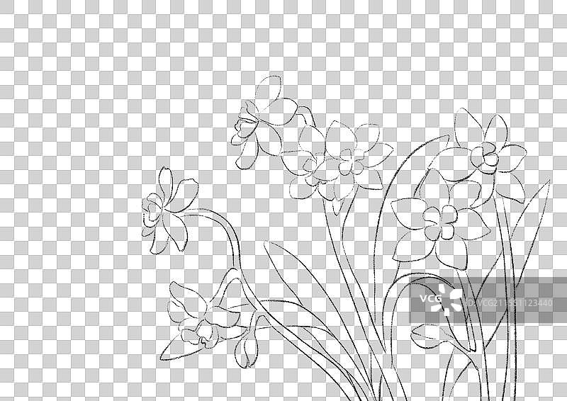 二十四节气花卉水果插画线稿元素图片素材