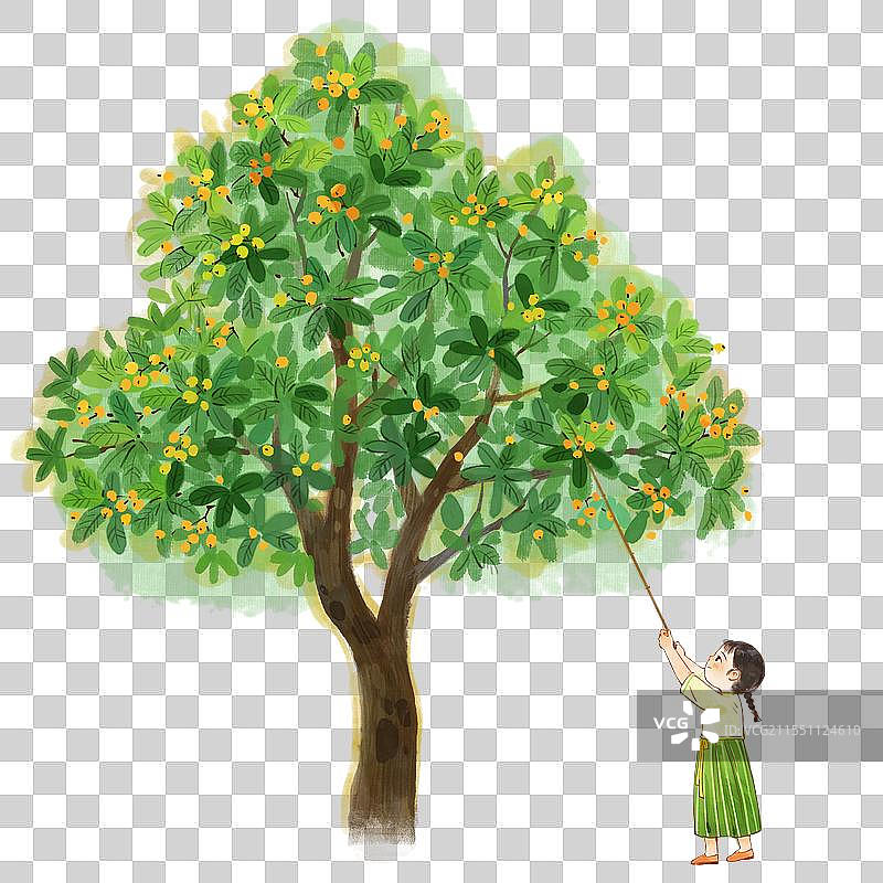 在枇杷树下采摘枇杷的儿童水墨画元素图片素材