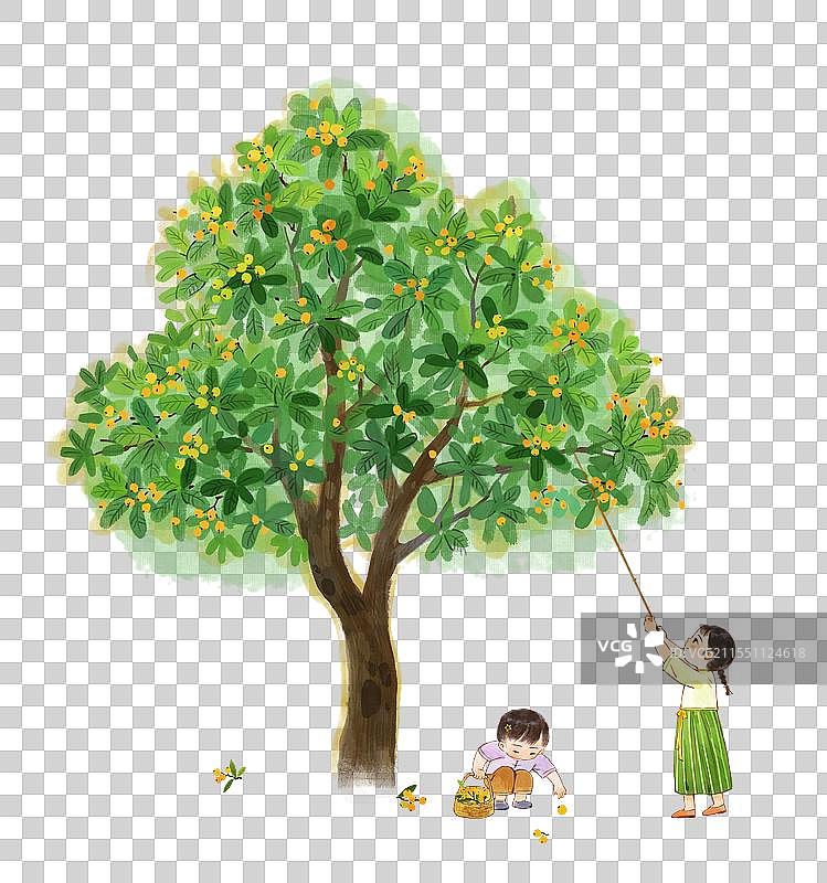 在枇杷树下采摘枇杷的儿童水墨画元素图片素材