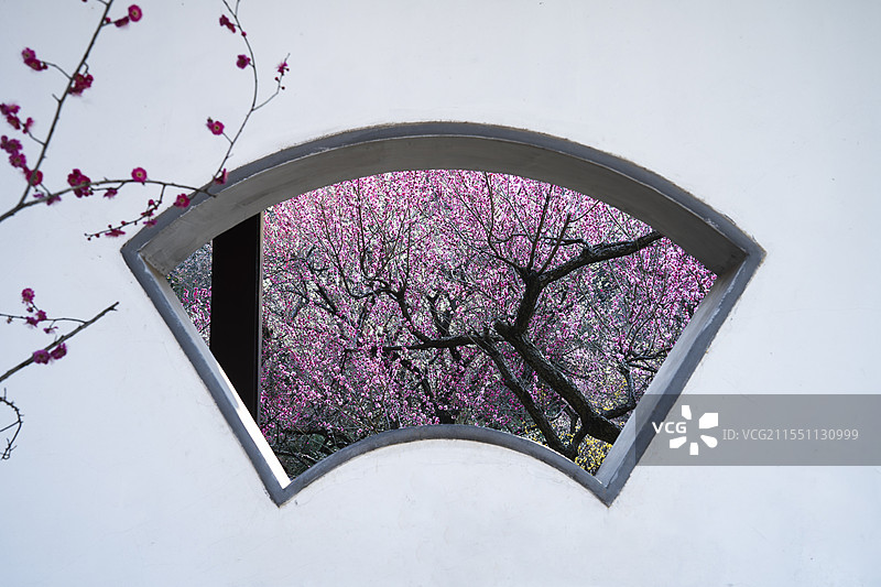 南京雨花台梅花图片素材