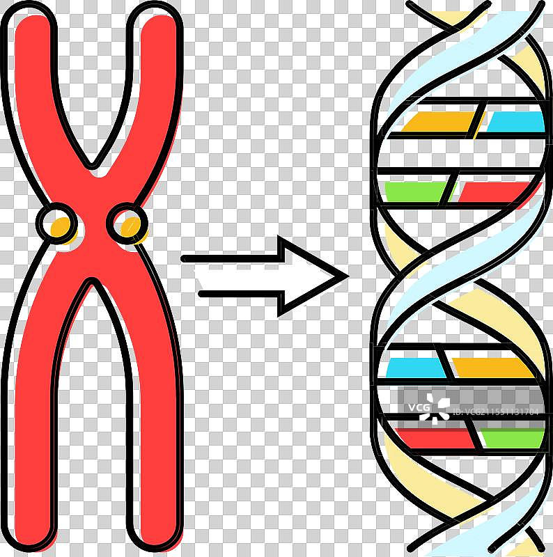 基因遗传工程彩色图标图片素材