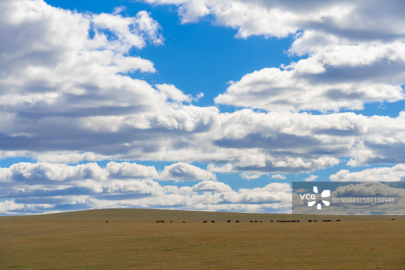 呼伦贝尔草原秋天风景图片素材