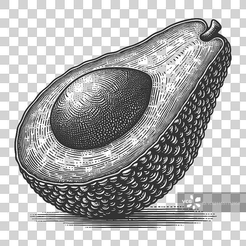 鳄梨雕刻素描图片素材