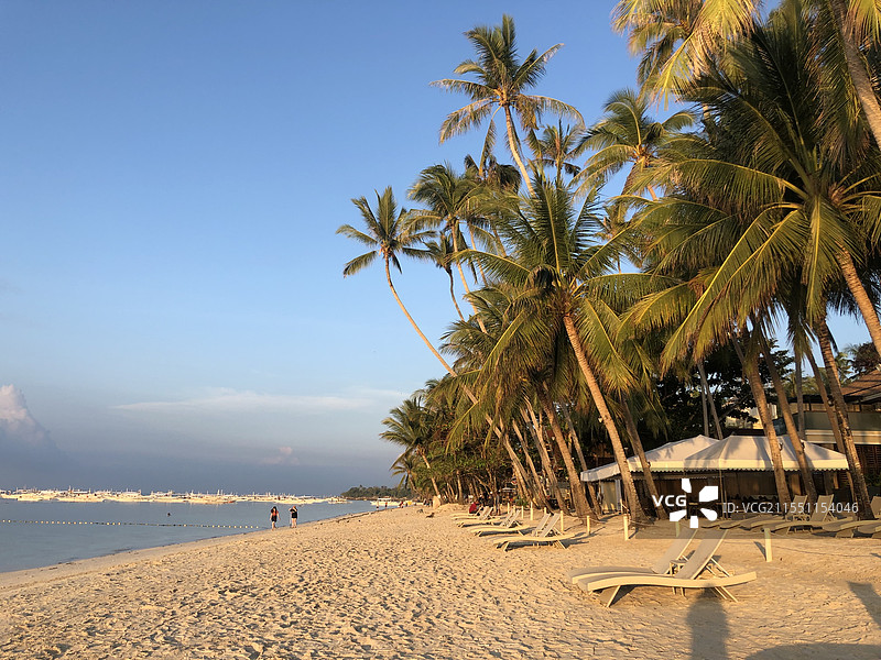 沙滩与椰子树图片素材